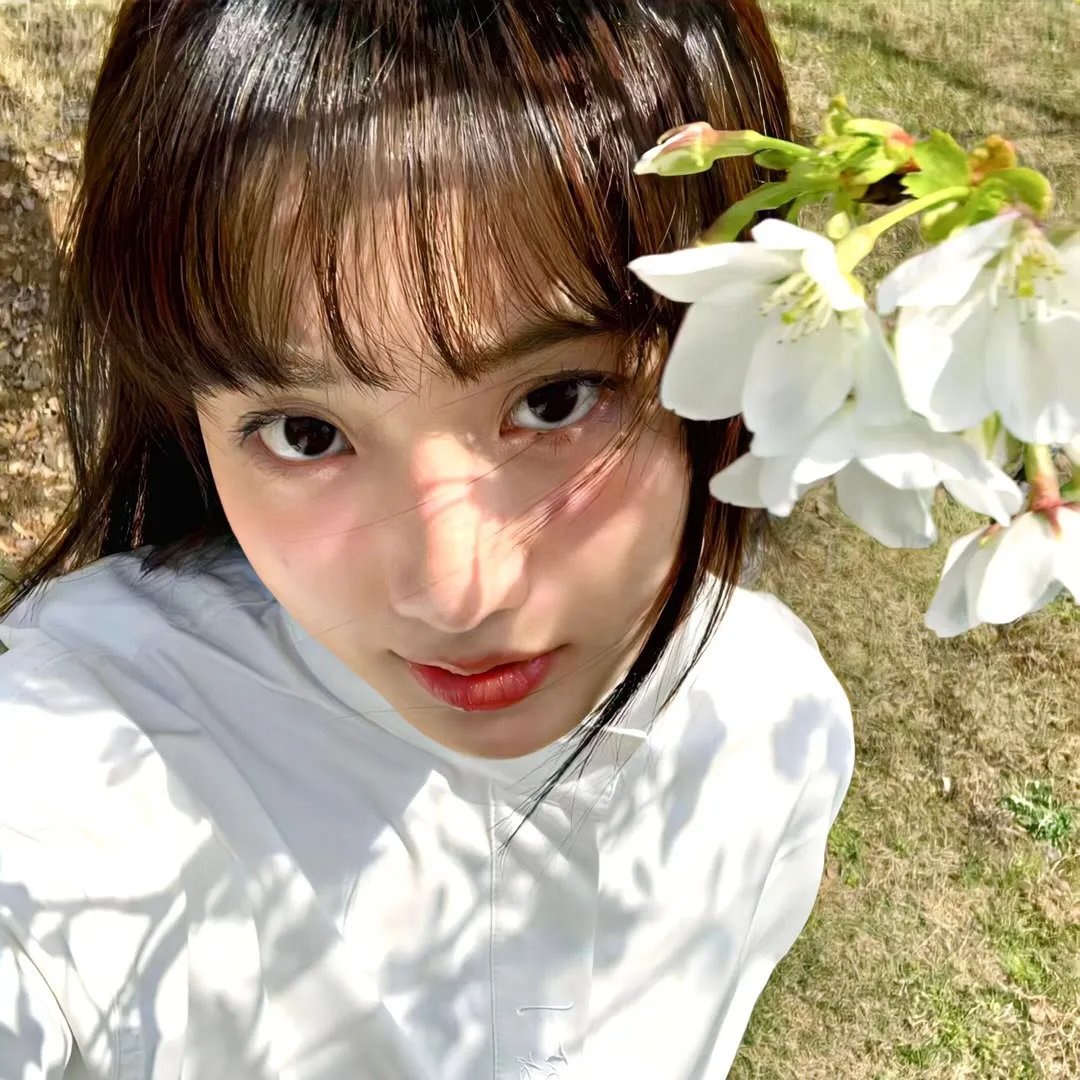 炸药屋海报